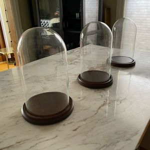 S/3 Cloche Glass Domes with Walnut Stained Wood Base